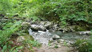 gorges de la Bidouze