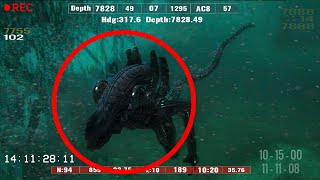 10 Most Bizarre Creatures Found In The Mariana Trench!