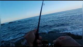 pescando en el piano con camarón vivo y boyita en Mazatlán sinaloa