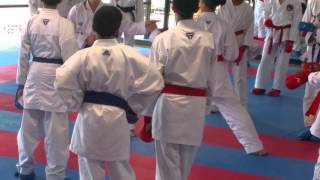 Team USA Karate 2016 Training