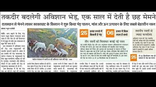 अविशान भेड़,,अब बदलेगी किसानों की तकदीर // एक साल मैं देती 6 मैमने ? Cutting and farming #अविशान