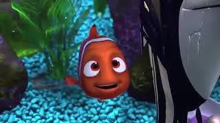 Finding Nemo:  Nigel Tells Nemo About Marlin's Journey to Find Him