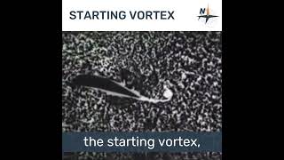 Starting vortex 🚩