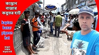 কাপ্তান বাজার | kaptan bazar pigeon hat | কাপ্তান বাজার কবুতর হাট | pigeon market in bangladesh