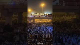 Muzdalifa Night View 2024/1445 #hajj #muzdalifa #arafat