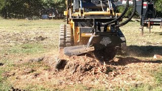 Stump Clean up - Wild Cherry Gone