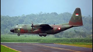 Pesawat Hercules C 130 TNI AU mendarat di Wamena Papua