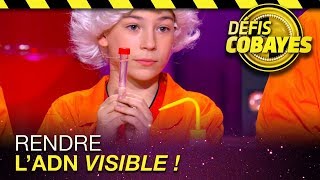 Rendre l'ADN visible ! - Défis Cobayes - France 4