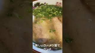 #福岡グルメ #らーめん 新しいラーメン屋【博多ラーメン はむ太】