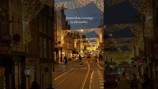 Golden December Evening in Amsterdam #shortvideo