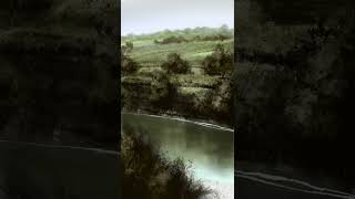 by the river - Digital Painting #shorts