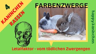 Zwergengen bei Farbenzwergen