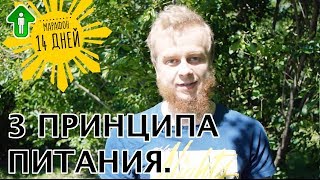 6. Три принципа питания | Я расту. Быстрый старт