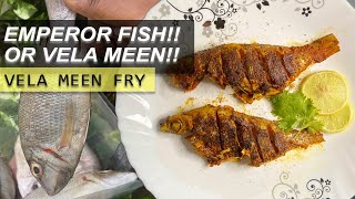 Emperor/Vela Meen Fry | HOW TO MAKE EASY FISH FRY? Easy Tamil Recipe - Bites N Rides