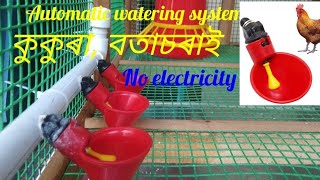 Automatic Bird's water feeder || how to make quail water feeder || SG Rangpur