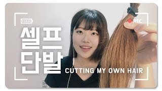 [ 뉴질랜드 VLOG ] 💇셀프단발머리자르기 3년 기른 머리 단발병 극뽁 실패 l CUTTING MY OWN HAIR