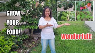 Tropical Backyard Garden Tour | Eat what you grow #garden