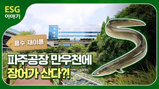 장어도 아는 물 맛집! 깨끗한 물을 위한 LG디스플레이 용수 재이용 [ESG 이야기]