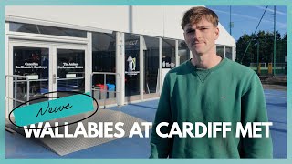 Wallabies at Cardiff Met