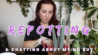 Repotting Plants TO GIVE THEM A NEW LIFE!