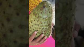 క్యాన్సర్  కు దివ్య ఔషధంలా పనిచేస్తుంది #cancer #vellankivlogs #fruits #health #Lakshmanafalam