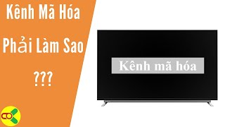 Tivi Bị Mã Hóa Kênh Truyền Hình Mặt Đất 🔴 Cách Giải Quyết Kênh Bị Mã Hoá Nhanh Nhất