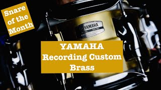 Yamaha Recording Custom Brass 14"x5.5" Snare Drum Review (Snare of the Month #9)