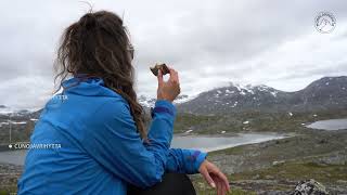 The Nordland Trail: Narvik