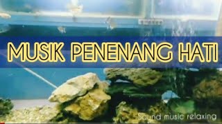 BEAUTIFUL FISH SOUND MUSIC || AQUARIUM