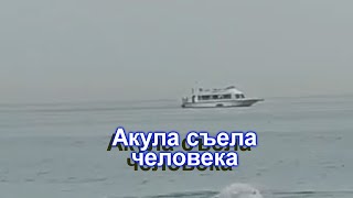 Акула съела человека