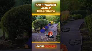 КАК ПРОХОДИТ ДЕНЬ У КВАДРОБЕРА 😂🐔 #юмор #мем #квадробика