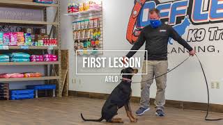 Training Doberman to Come and Sit | Off Leash K9 Training