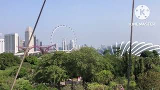 Supertree grove, OCBC skyway, and observatory Singapore