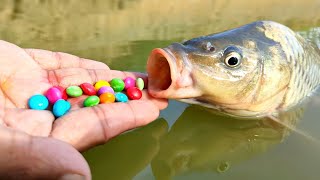 Unbelievable Fishing Video | Smart Boy Catching Fish With Chocolate 🍫 |Unique Fishing Trap Use Candy