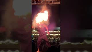 Fire show in Dubai Safari.