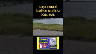 KUŞ CENNETİ İZMİRDE MUSİLAJ DOLU HALİ