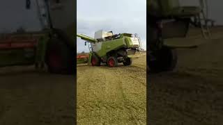 Class Lexion + Class Arion | Trebbiatura - scarico Tractor