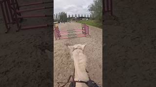 C’est parti ! #cheval #training #entrainement #sport #equitation #jumping #jumpinghorse #horse