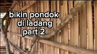 membangun tempat istirahat di ladang part 2 #dailyvlog #vlog #ladang #pondok