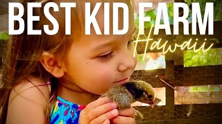 At Keiki & Plow kid-farm children can pet animals, play in the dirt, and grow in nature.