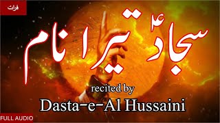 Ronay Ke Liye Kafi Hai Sajjad (a.s) Tera Naam - Dasta-e-Al Hussaini