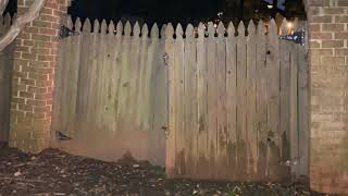 Double Fence Gate