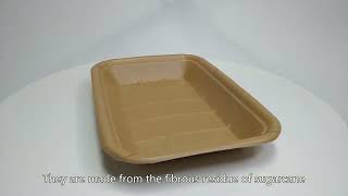 Bagasse food container,Compostable Takeout Containers,bagasse plate,High Grade,China Maker