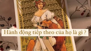 TAROT: HÀNH ĐỘNG TIẾP THEO CỦA HỌ LÀ GÌ