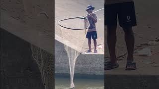 Real Life 100% Net Fishing In River At The Countryside.(Episode 99)