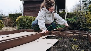 I am starting an allotment!