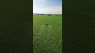 XAG V50 Agricultural Drone Smoothly Flies over Brazilian Farmland, Spraying Efficiently | #Shorts