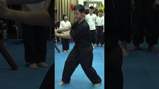 Wing Chun Biu Gee form in Hong Kong. Part Two