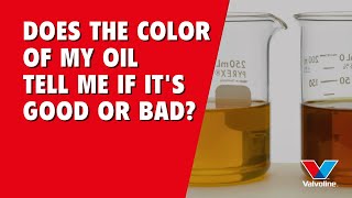 Does the COLOR of my OIL tell me if it's GOOD or BAD | Essential TIPS for CAR owners | ASK ALISTAIR