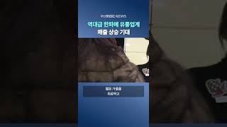 역대급 한파에 유통업계 매출 상승 기대